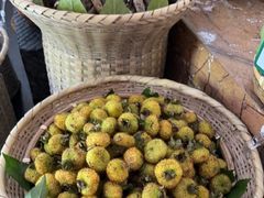 -黔蘑菇四季餐厅(观山湖店)