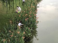 -南宁南湖公园