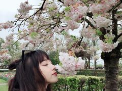 -库肯霍夫公园