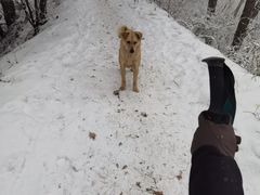 -迪卡侬(南二环店)