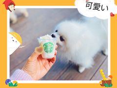 -星巴克臻选(北京凤凰汇店)