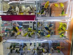 -三旗百汇商品城