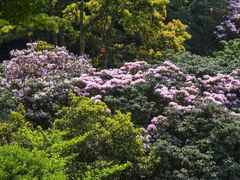 -梧桐山风景名胜区