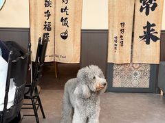 -沏点Trattoria意大利餐厅(新街口店)