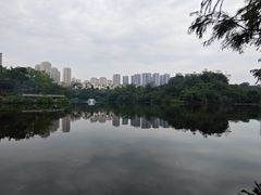 -重庆彩云湖湿地公园