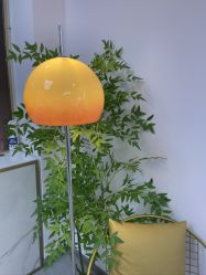-变美丽半永久纹眉连锁·机器野生眉·洗眉
