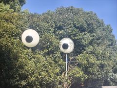 -合肥野生动物园
