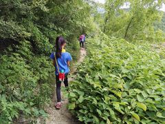 -鬼笑石后山停车场