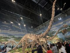 -自贡恐龙博物馆