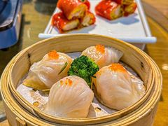 -万年酒楼(越秀南路店)