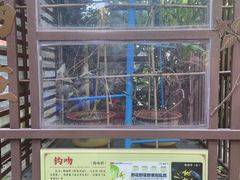 -广州神农草堂中医药博物馆
