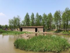 -宁波杭州湾国家湿地公园