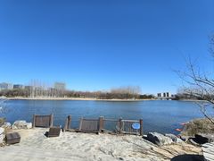 -大兴滨河森林公园