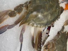 -红鼎豆捞·非遗鲍皇汤火锅(宝丰路店)