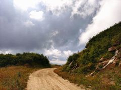 -秦岭风景区