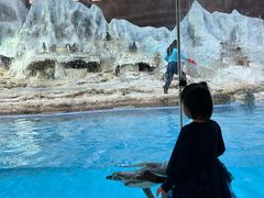 -帝企鹅自助餐厅•儿童岛•真企鹅(长隆企鹅酒店)