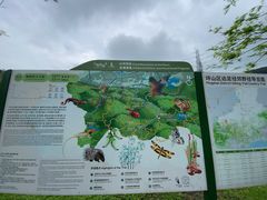 -马峦山郊野公园