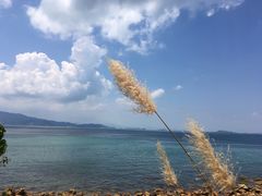 -石老人观光园