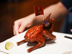 非遗红烧乳鸽-侨美食家·41年地道粤菜(珠江新城店)
