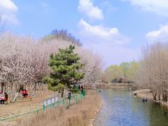 -长白岛森林公园