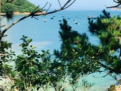 -海源公园