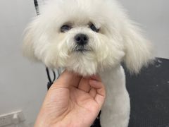 -comecome来吧宠物(奥克斯中心店)