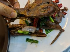-老鄞江清水龙虾•赵赵家(江北店)