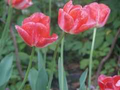 -玄武湖景区-情侣园游乐场