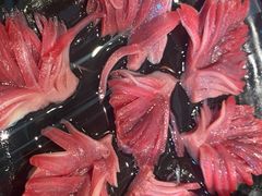 -渝宗老灶火锅(巴国城店)