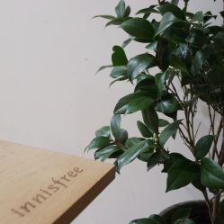 -悦诗风吟innisfree