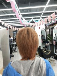 -世田造型