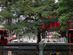 -九龙公园