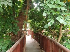 -呀路古热带植物园