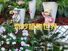 -石家庄市植物园