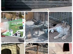 -青藏高原野生动物园