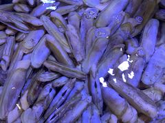 -渔民船说·北塘海鲜·天津菜·海肠捞饭(北塘古镇店)