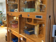 -Pets First伊珊娜洗护·精致美容·家庭式寄养(新会路店)