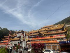 -东莞市大岭山森林公园