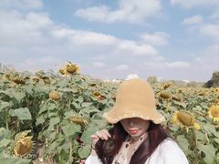 -映月湖中央公园
