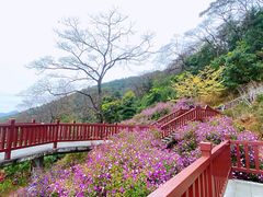 -广州市石门国家森林公园