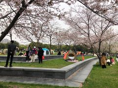 -蠡湖大桥公园