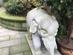 -峨眉山报国寺