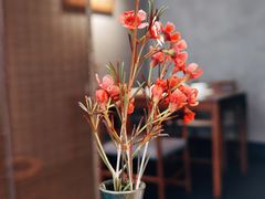 -觀芷隐轩