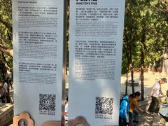 -四门塔风景区