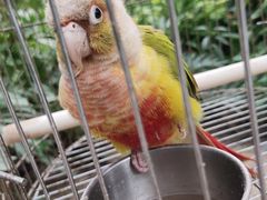 -南宫五洲植物乐园