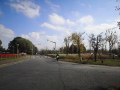 -上海滨江森林公园