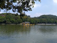 -西樵山风景名胜区-天湖公园