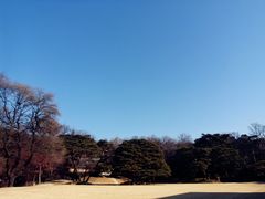 -青瓦台舍廊房