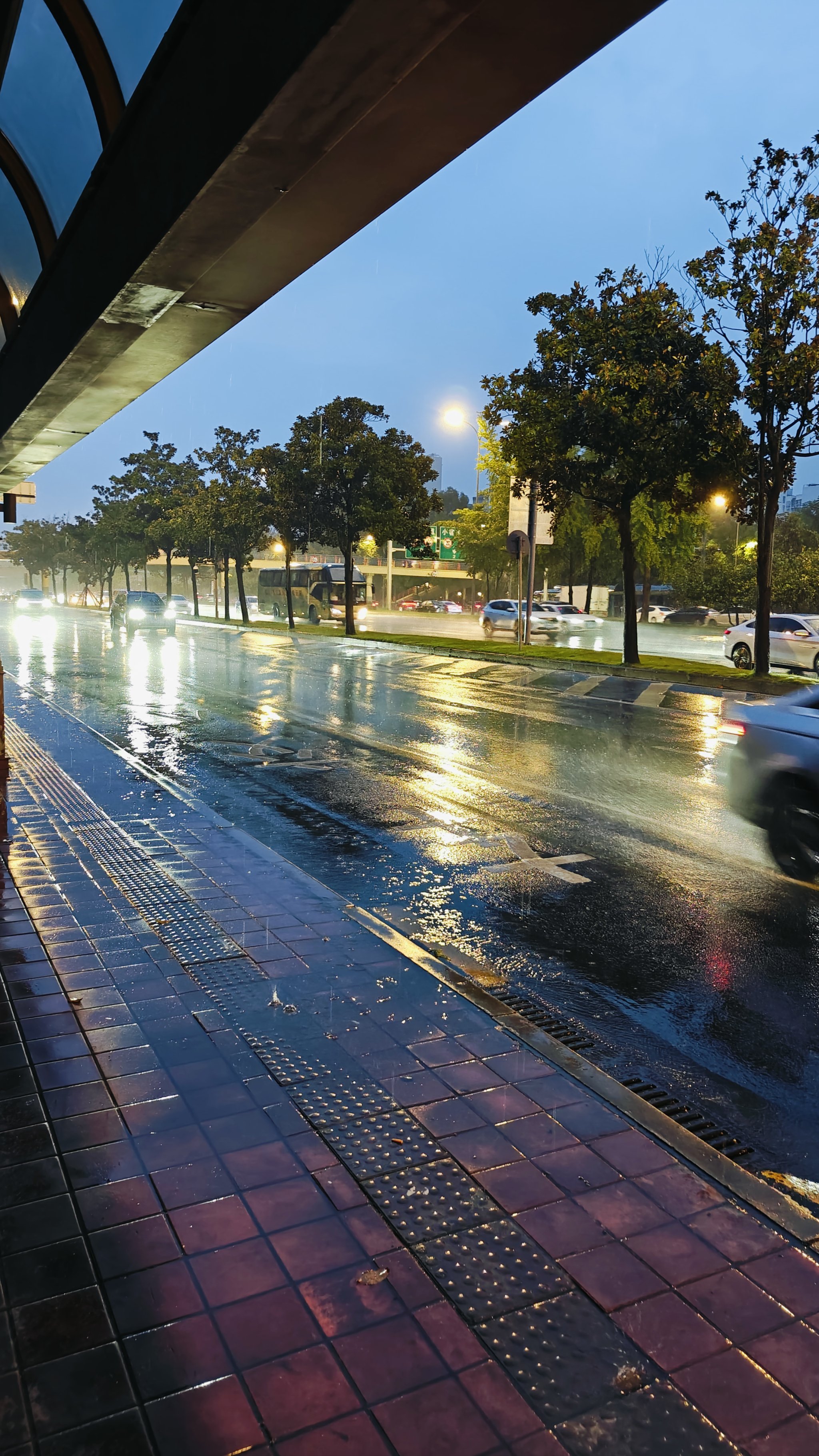 马路上下雨的真实照片图片