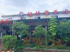 -祖传曾羊肉饭店